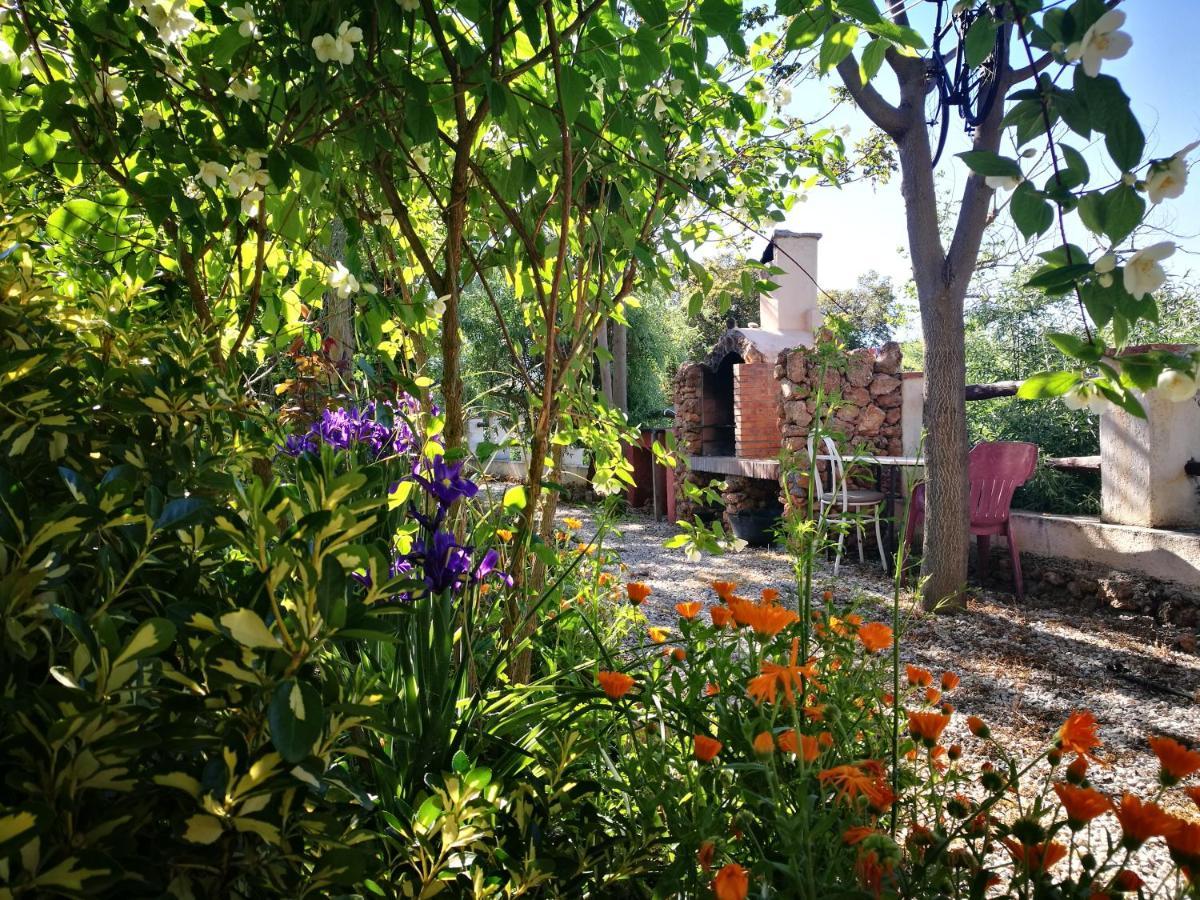 Cortijo Los Soledad El Sauco Kültér fotó
