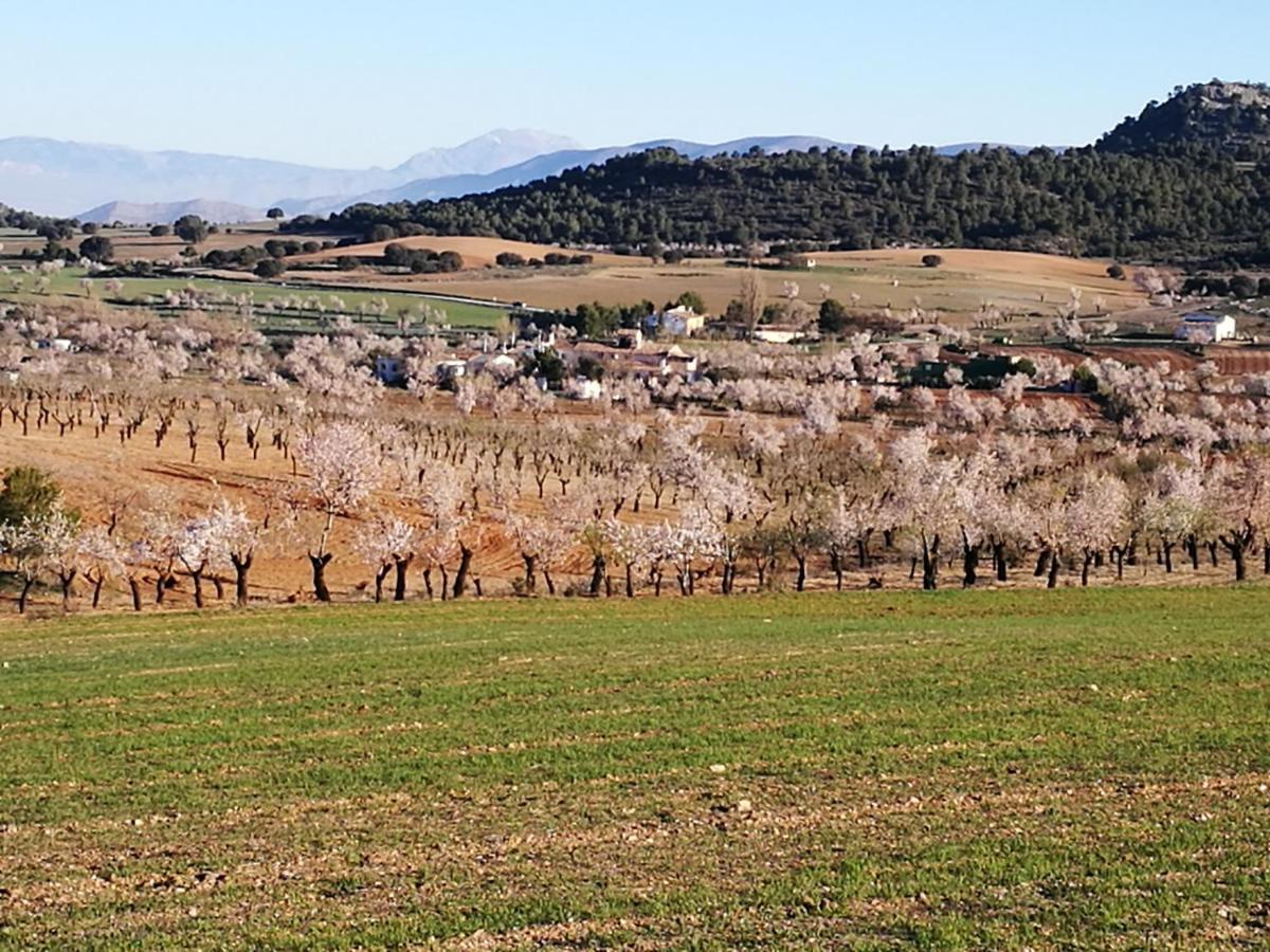 Cortijo Los Soledad El Sauco Kültér fotó