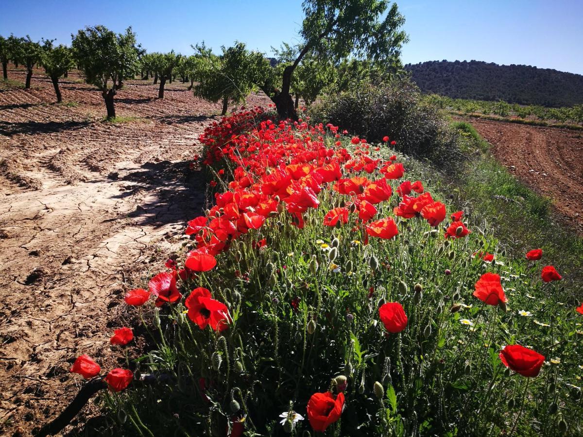 Cortijo Los Soledad El Sauco Kültér fotó