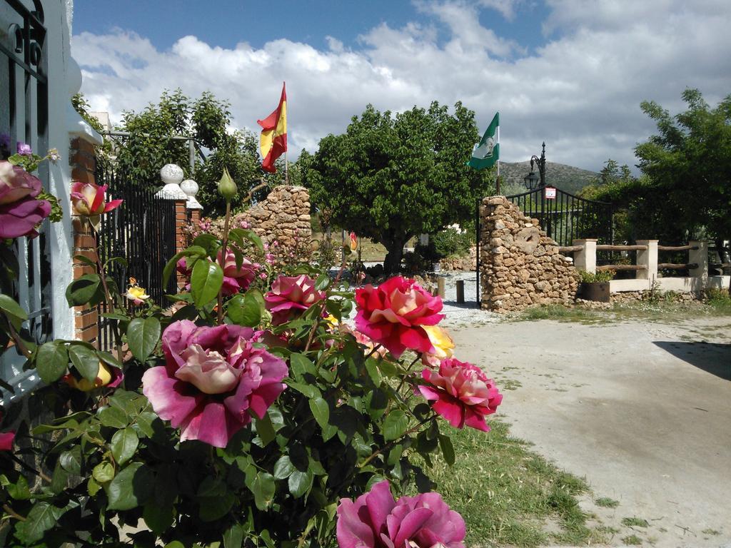 Cortijo Los Soledad El Sauco Kültér fotó