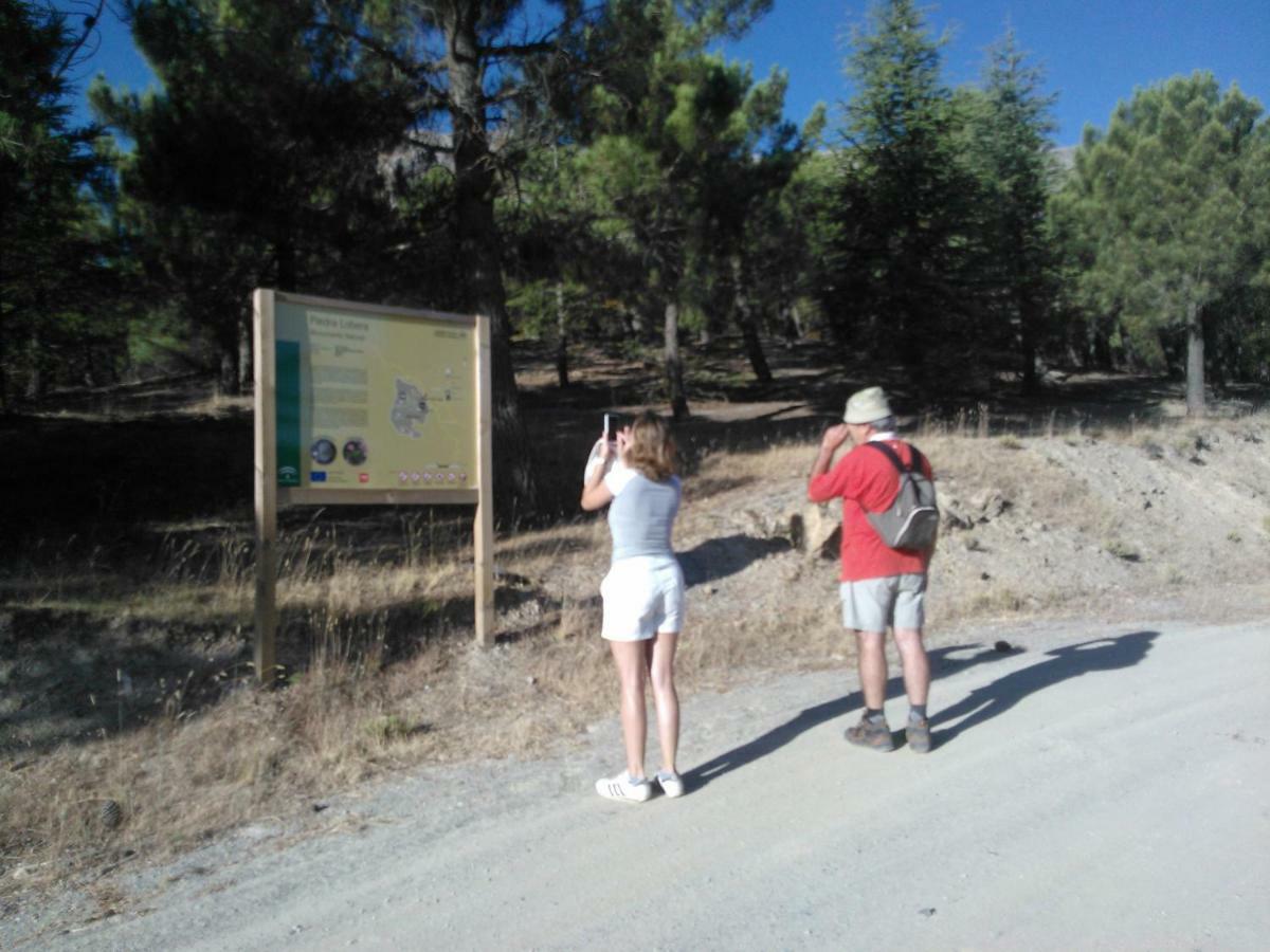 Cortijo Los Soledad El Sauco Kültér fotó