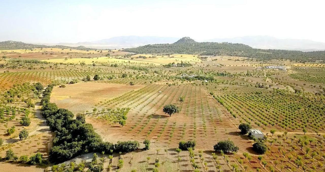Cortijo Los Soledad El Sauco Kültér fotó