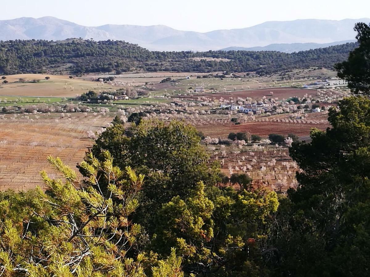 Cortijo Los Soledad El Sauco Kültér fotó